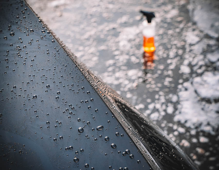 Vasks Ir Pagātne! Iepazīsties ar Plash Spīdumu!